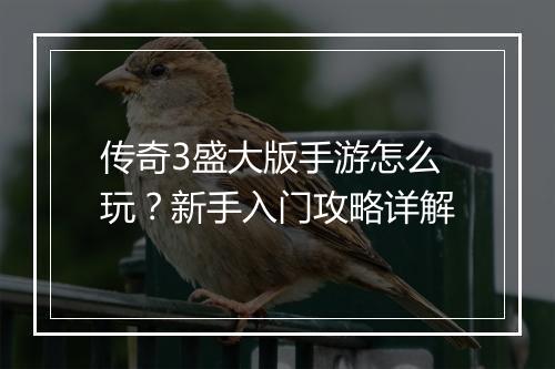 传奇3盛大版手游怎么玩？新手入门攻略详解