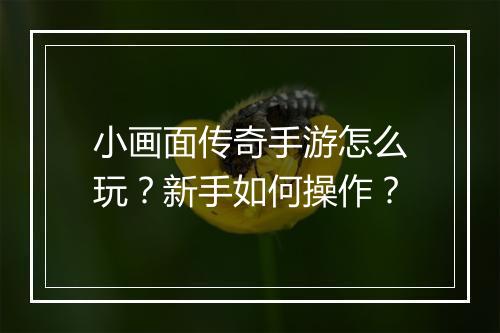 小画面传奇手游怎么玩？新手如何操作？
