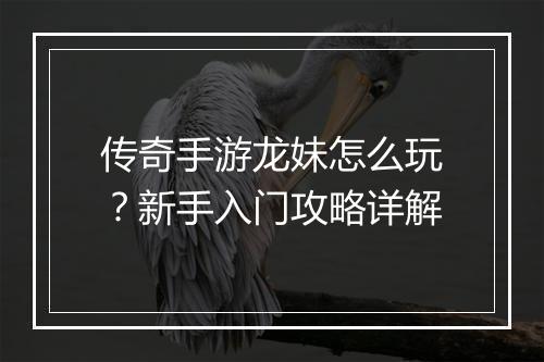传奇手游龙妹怎么玩？新手入门攻略详解