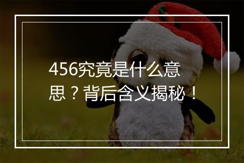 456究竟是什么意思？背后含义揭秘！