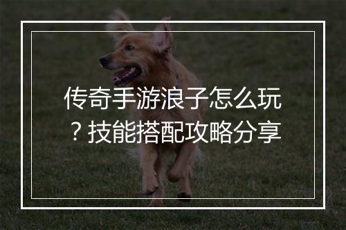 传奇手游浪子怎么玩？技能搭配攻略分享