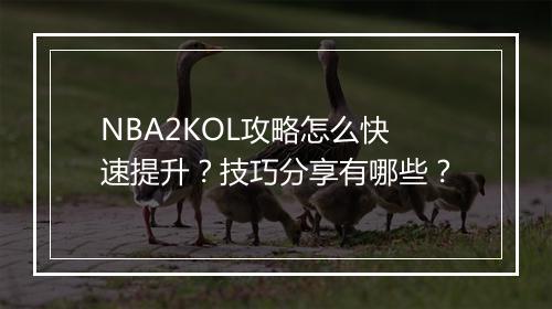 NBA2KOL攻略怎么快速提升？技巧分享有哪些？