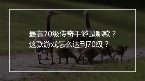 最高70级传奇手游是哪款？这款游戏怎么达到70级？