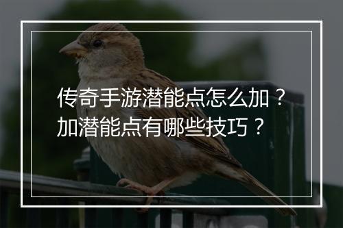 传奇手游潜能点怎么加？加潜能点有哪些技巧？
