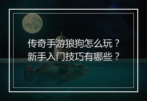 传奇手游狼狗怎么玩？新手入门技巧有哪些？