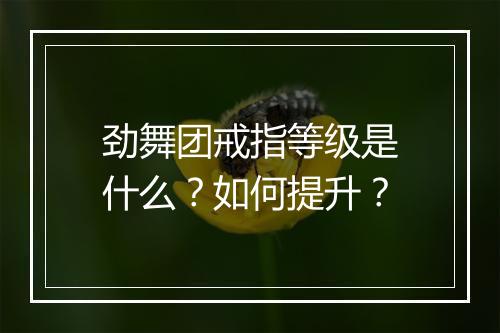劲舞团戒指等级是什么？如何提升？