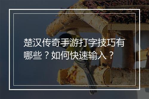 楚汉传奇手游打字技巧有哪些？如何快速输入？