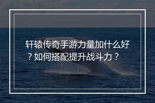 轩辕传奇手游力量加什么好？如何搭配提升战斗力？