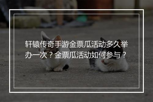 轩辕传奇手游金票瓜活动多久举办一次？金票瓜活动如何参与？