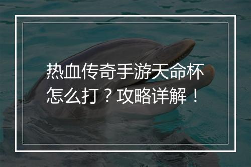 热血传奇手游天命杯怎么打？攻略详解！
