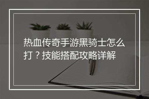 热血传奇手游黑骑士怎么打？技能搭配攻略详解