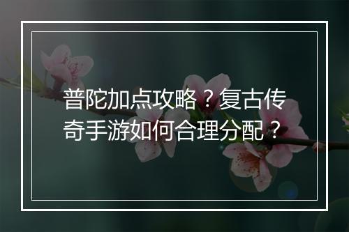 普陀加点攻略？复古传奇手游如何合理分配？