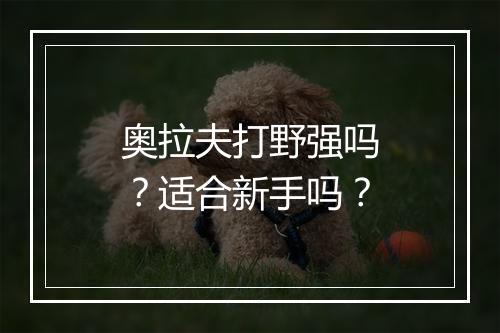 奥拉夫打野强吗？适合新手吗？