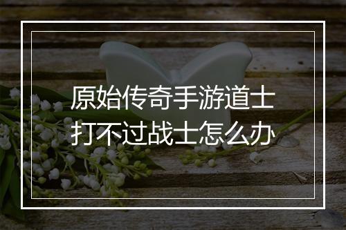 原始传奇手游道士打不过战士怎么办