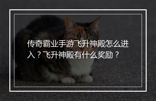 传奇霸业手游飞升神殿怎么进入？飞升神殿有什么奖励？