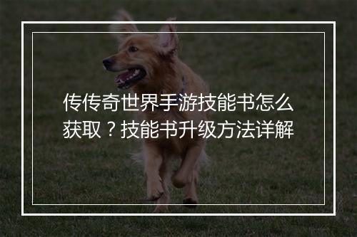 传传奇世界手游技能书怎么获取？技能书升级方法详解