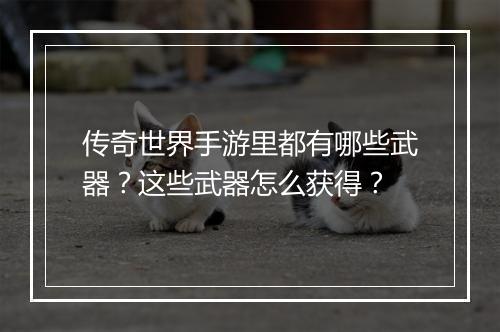 传奇世界手游里都有哪些武器？这些武器怎么获得？