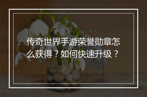 传奇世界手游荣誉勋章怎么获得？如何快速升级？