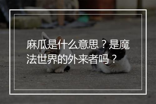 麻瓜是什么意思？是魔法世界的外来者吗？