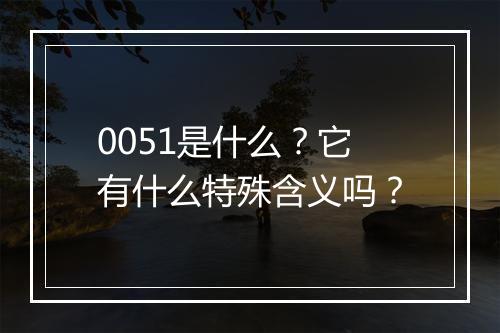 0051是什么？它有什么特殊含义吗？