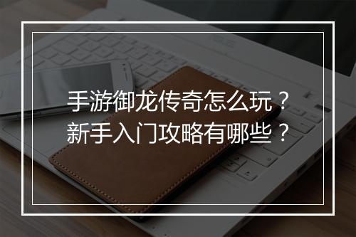手游御龙传奇怎么玩？新手入门攻略有哪些？
