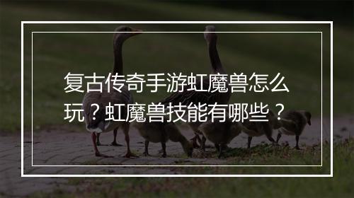 复古传奇手游虹魔兽怎么玩？虹魔兽技能有哪些？