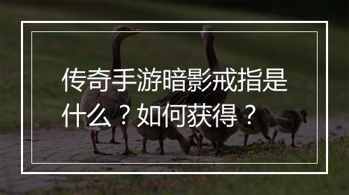 传奇手游暗影戒指是什么？如何获得？