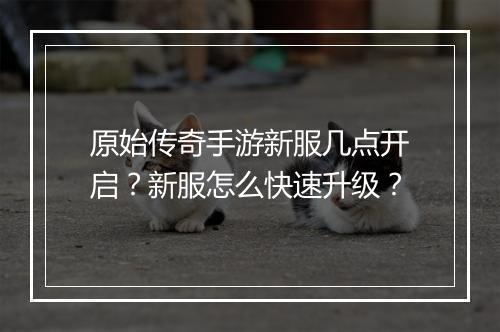 原始传奇手游新服几点开启？新服怎么快速升级？