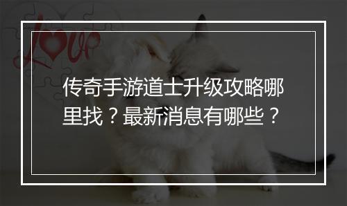 传奇手游道士升级攻略哪里找？最新消息有哪些？