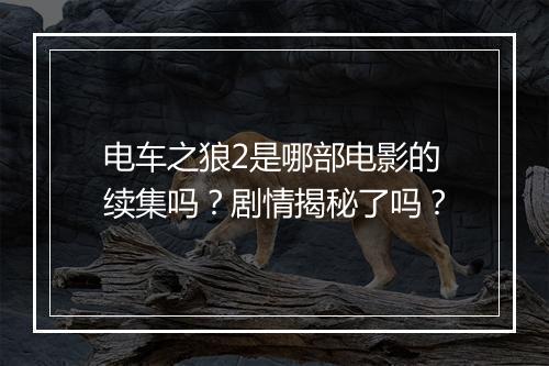 电车之狼2是哪部电影的续集吗?剧情揭秘了吗?