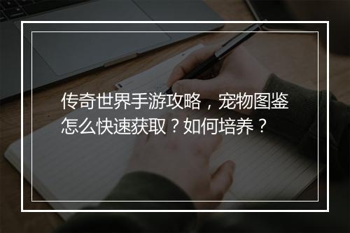 传奇世界手游攻略，宠物图鉴怎么快速获取？如何培养？