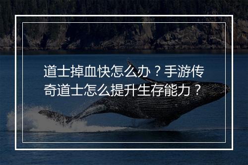 道士掉血快怎么办？手游传奇道士怎么提升生存能力？