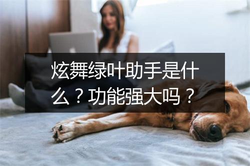 炫舞绿叶助手是什么？功能强大吗？