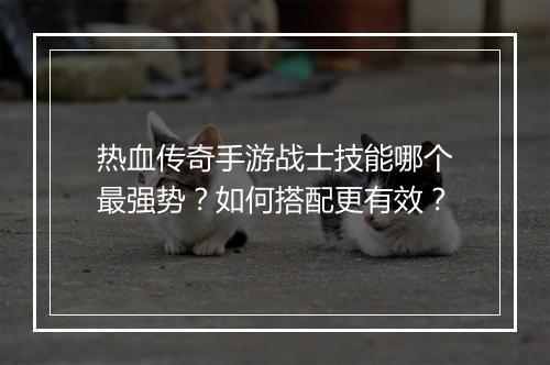 热血传奇手游战士技能哪个最强势？如何搭配更有效？