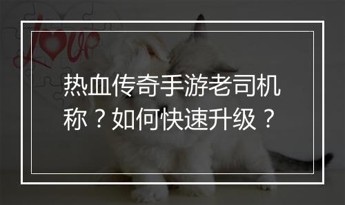 热血传奇手游老司机称？如何快速升级？