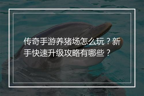 传奇手游养猪场怎么玩？新手快速升级攻略有哪些？
