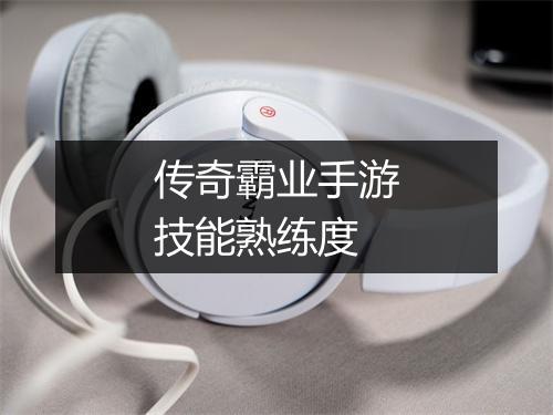 传奇霸业手游技能熟练度