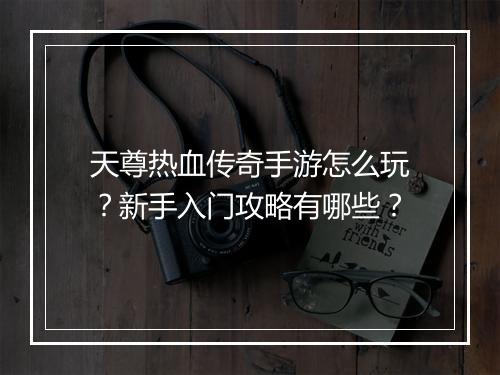 天尊热血传奇手游怎么玩？新手入门攻略有哪些？