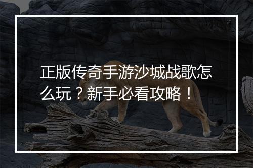 正版传奇手游沙城战歌怎么玩？新手必看攻略！
