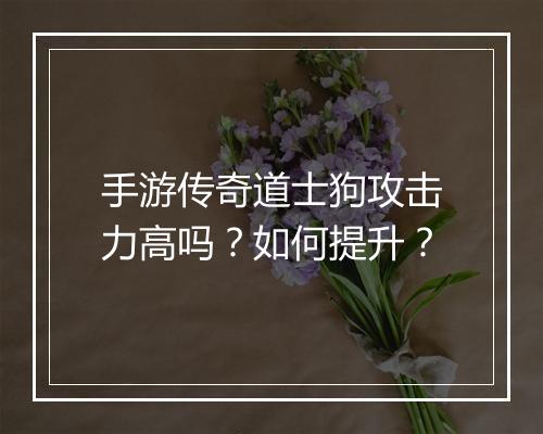 手游传奇道士狗攻击力高吗？如何提升？