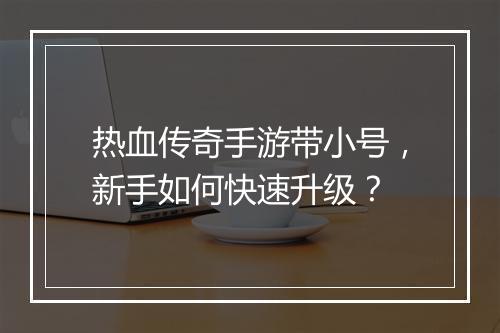 热血传奇手游带小号，新手如何快速升级？