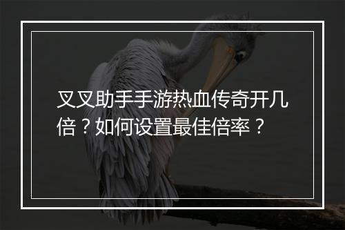 叉叉助手手游热血传奇开几倍？如何设置最佳倍率？