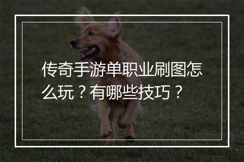 传奇手游单职业刷图怎么玩？有哪些技巧？