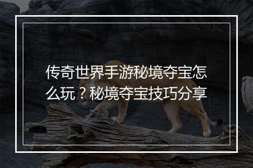 传奇世界手游秘境夺宝怎么玩？秘境夺宝技巧分享