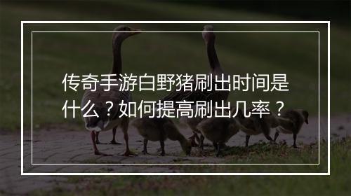 传奇手游白野猪刷出时间是什么？如何提高刷出几率？