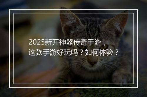 2025新开神器传奇手游，这款手游好玩吗？如何体验？