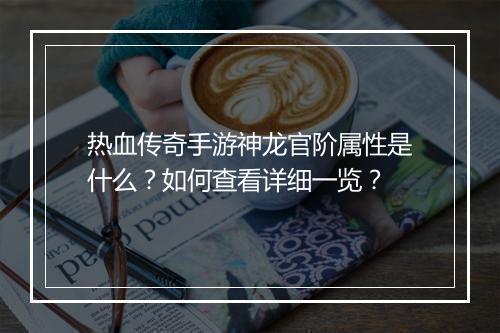 热血传奇手游神龙官阶属性是什么？如何查看详细一览？