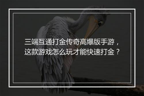 三端互通打金传奇高爆版手游，这款游戏怎么玩才能快速打金？