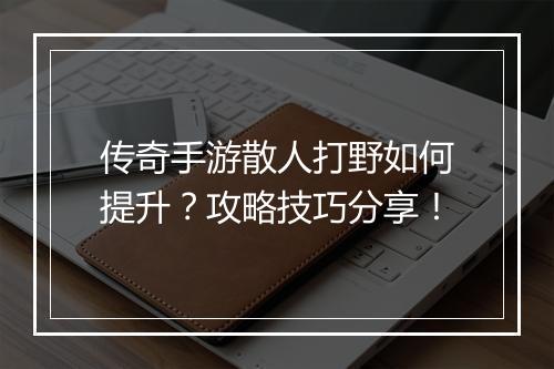 传奇手游散人打野如何提升？攻略技巧分享！