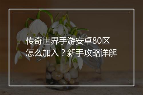 传奇世界手游安卓80区怎么加入？新手攻略详解